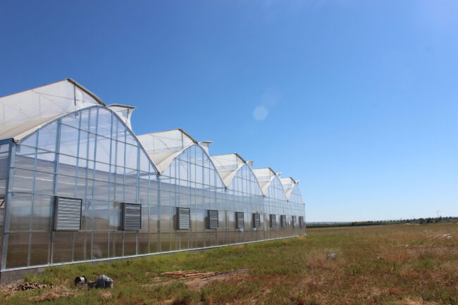 Greenhouses | Gonvarri AgroTech